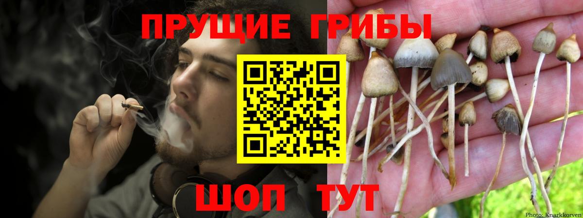 Псилоцибиновые грибы ЛСД  Вход с VPN  Королёв  Псилоцибиновые грибы MAGIC MUSHROOMS 