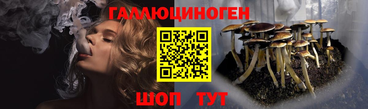 Псилоцибиновые грибы прущие грибы Королёв